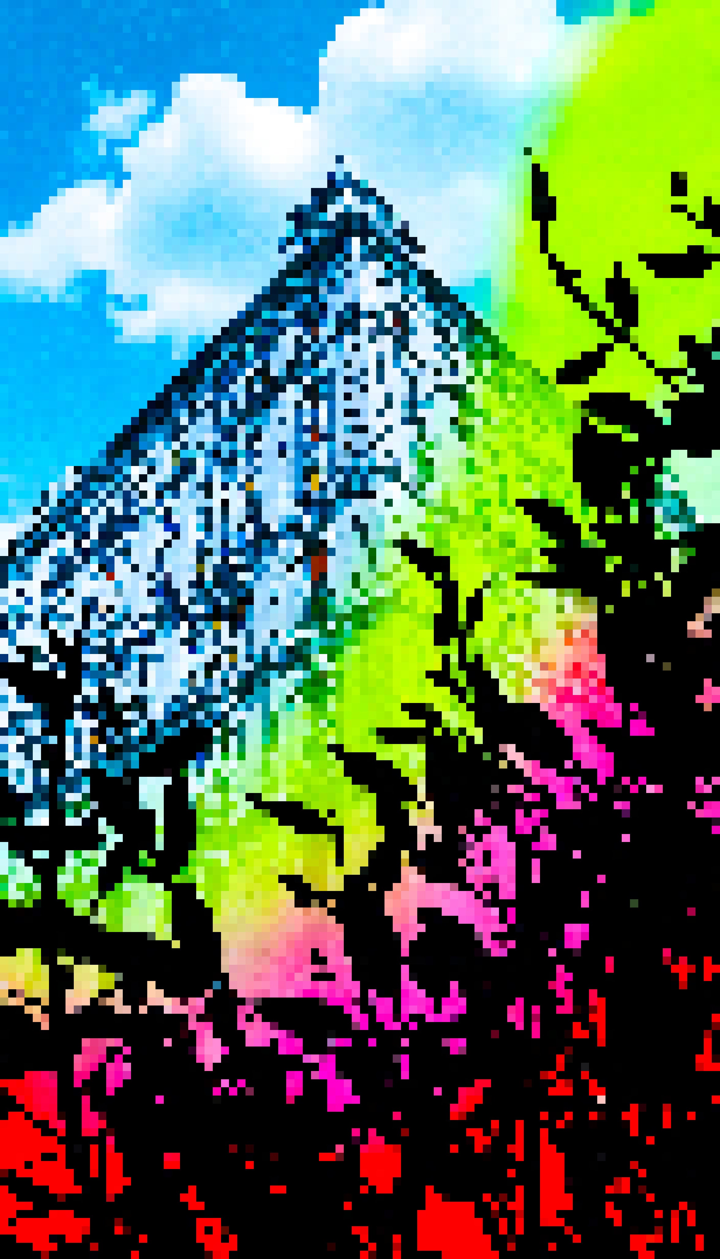 Elderberry Exchange - #228 - MV8PIXELS
