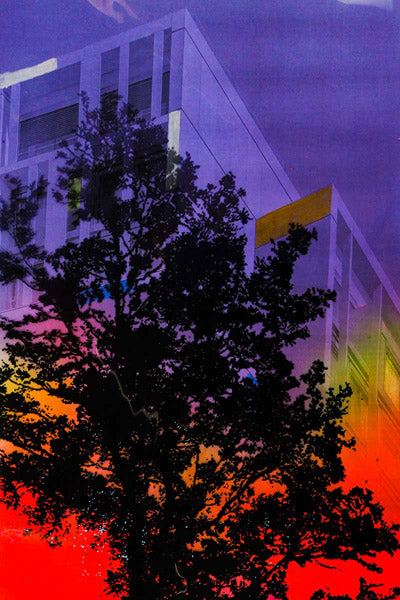 Marisol Vengas Original Artwork Series 7: forty-seven of one hundred and sixteen