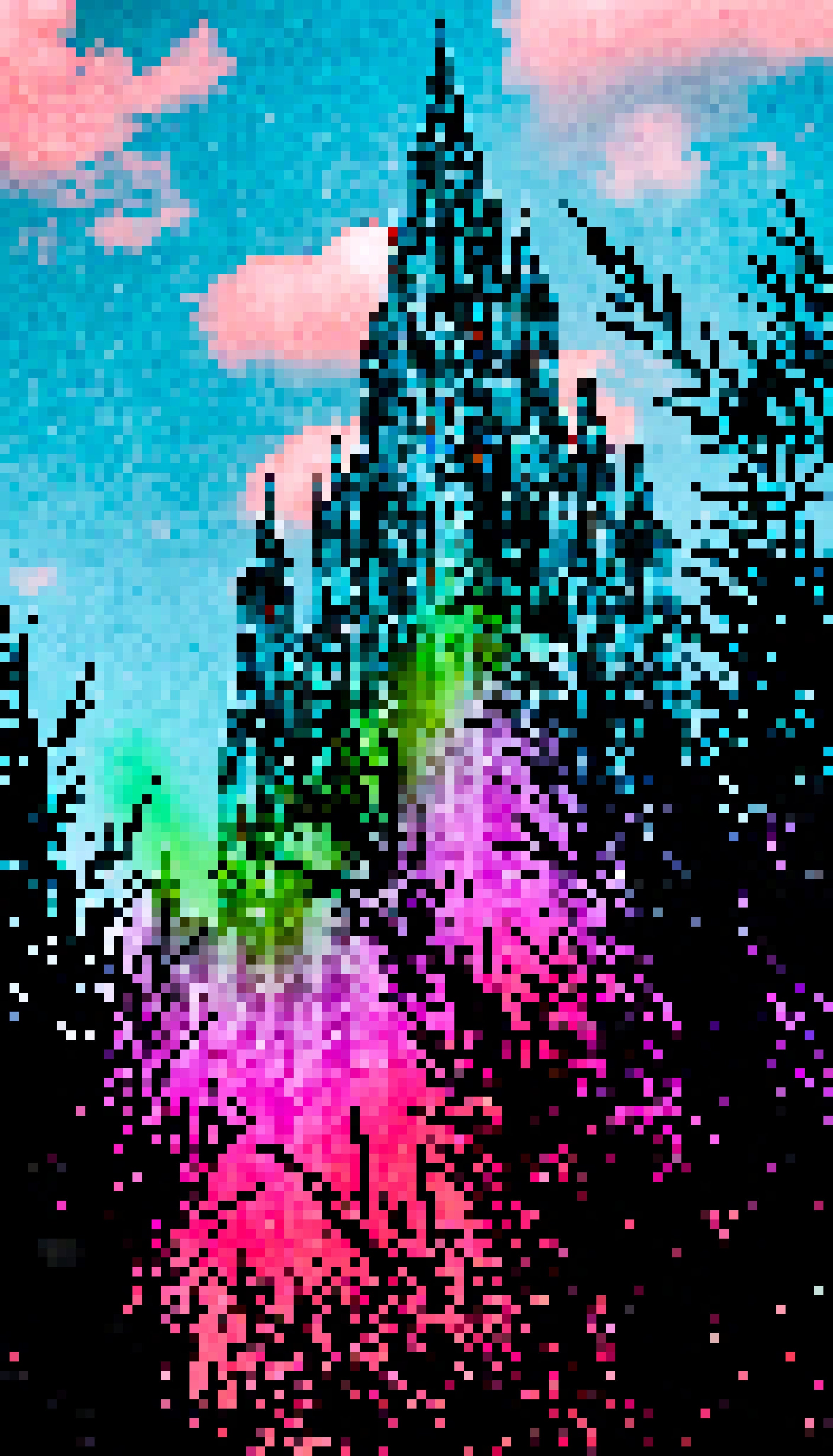 Cedar Canopy Crossroads - #76 - MV8PIXELS