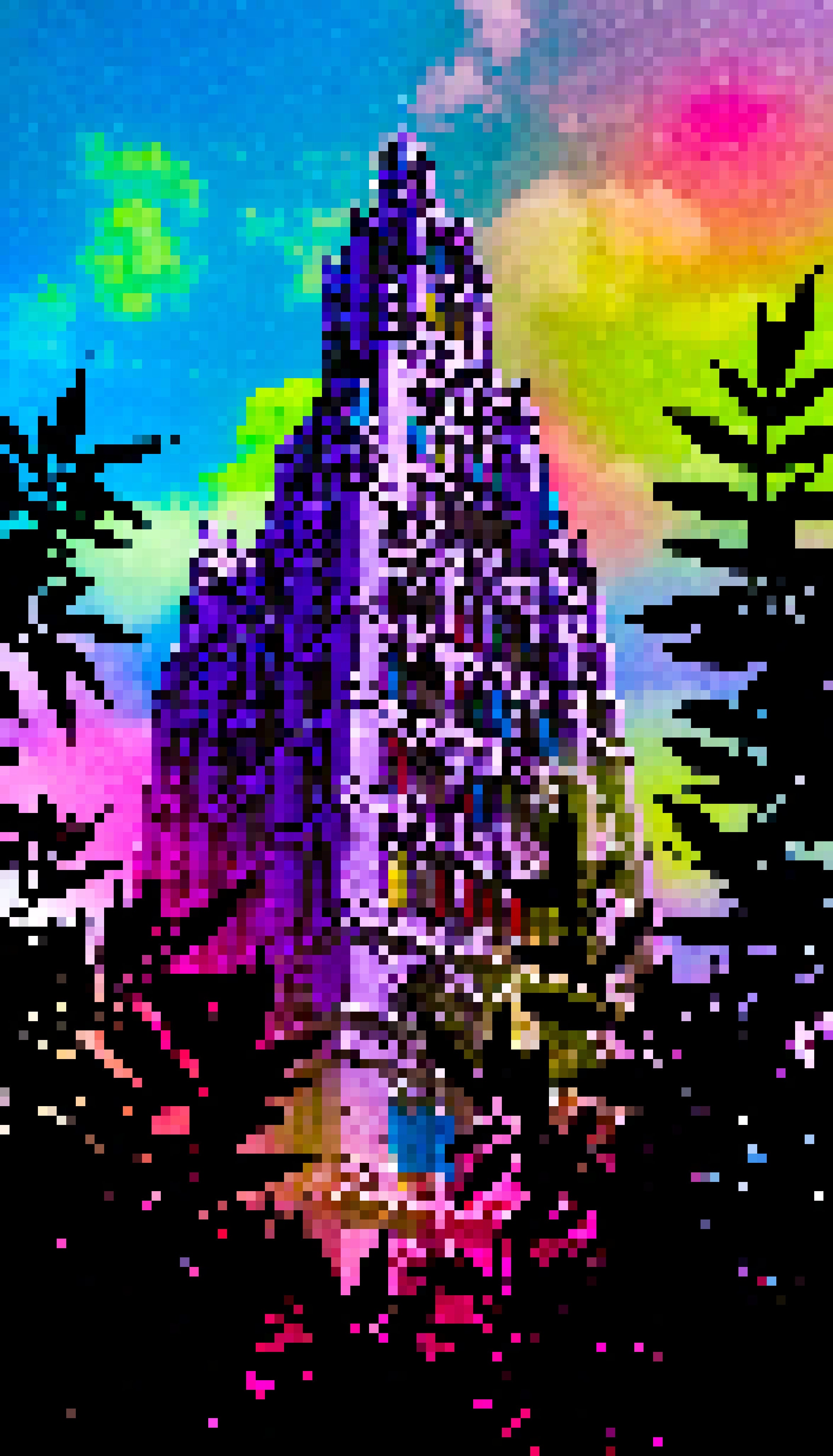 Pine Pathway Passage - #105 - MV8PIXELS