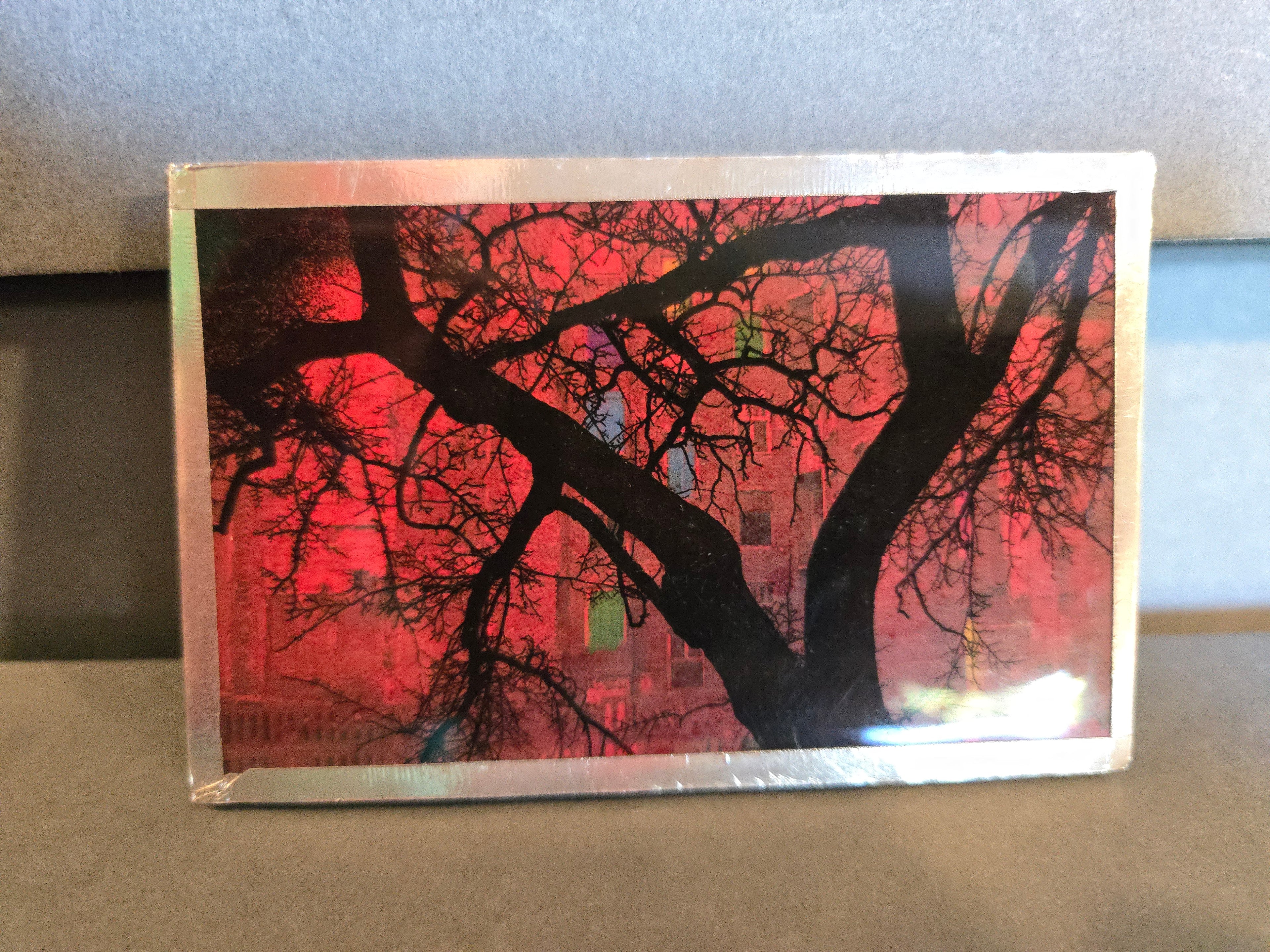 Series 6 - Goba - #88