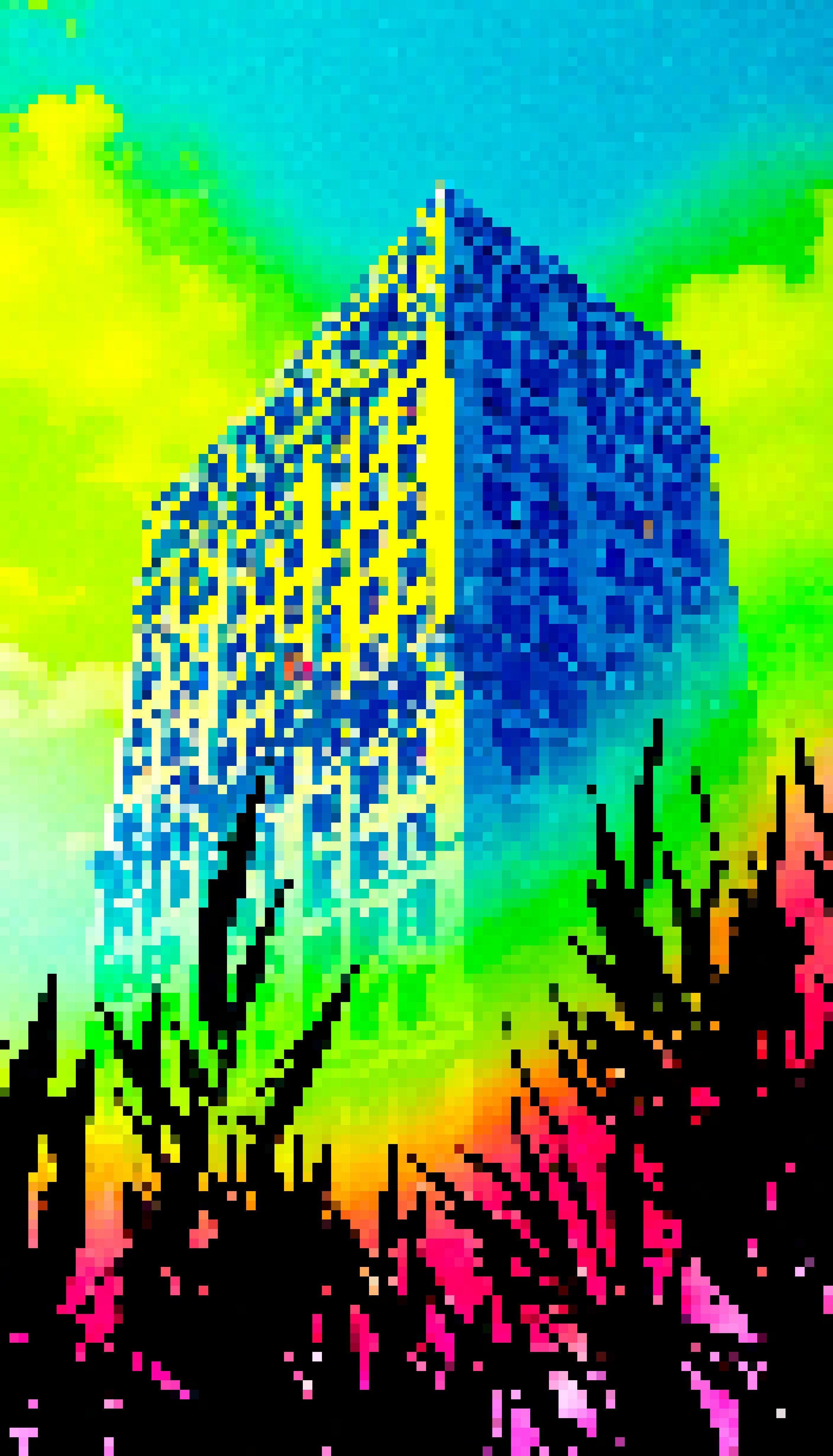 Sycamore Split-Path - #399 - MV8PIXELS