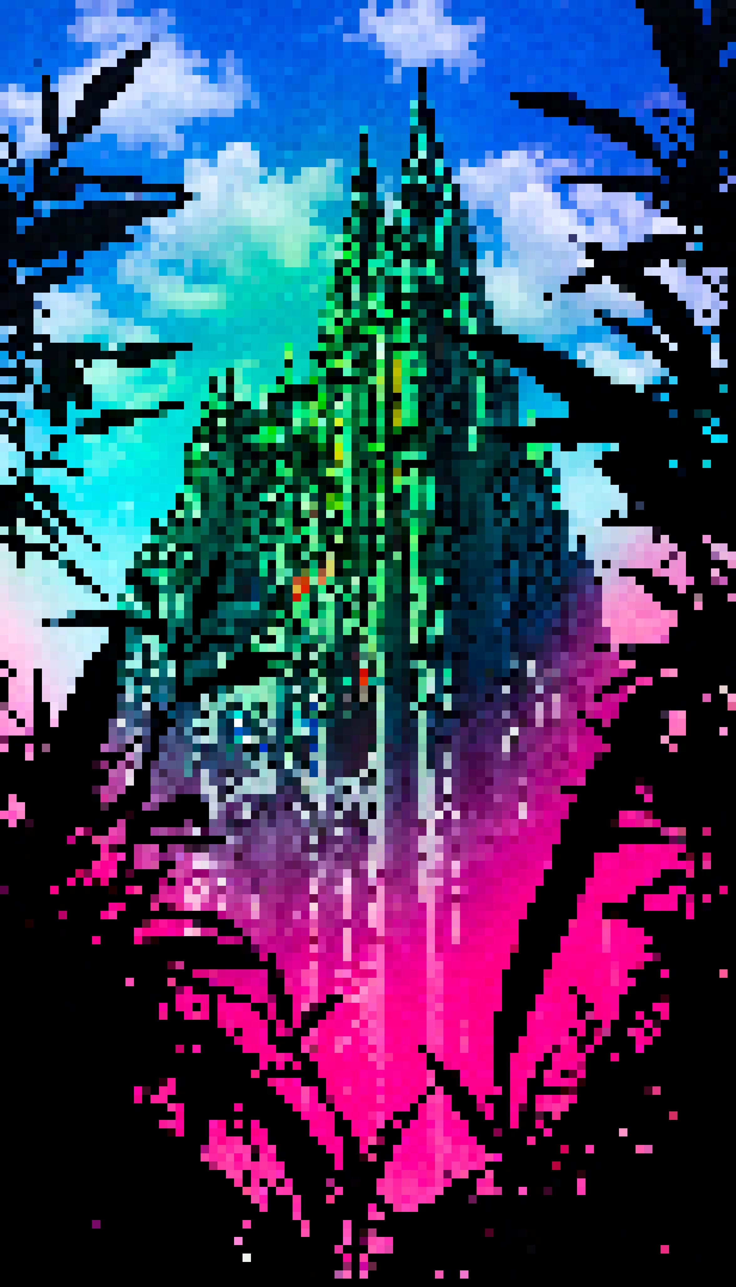 Sycamore Split Separation - #672 - MV8PIXELS