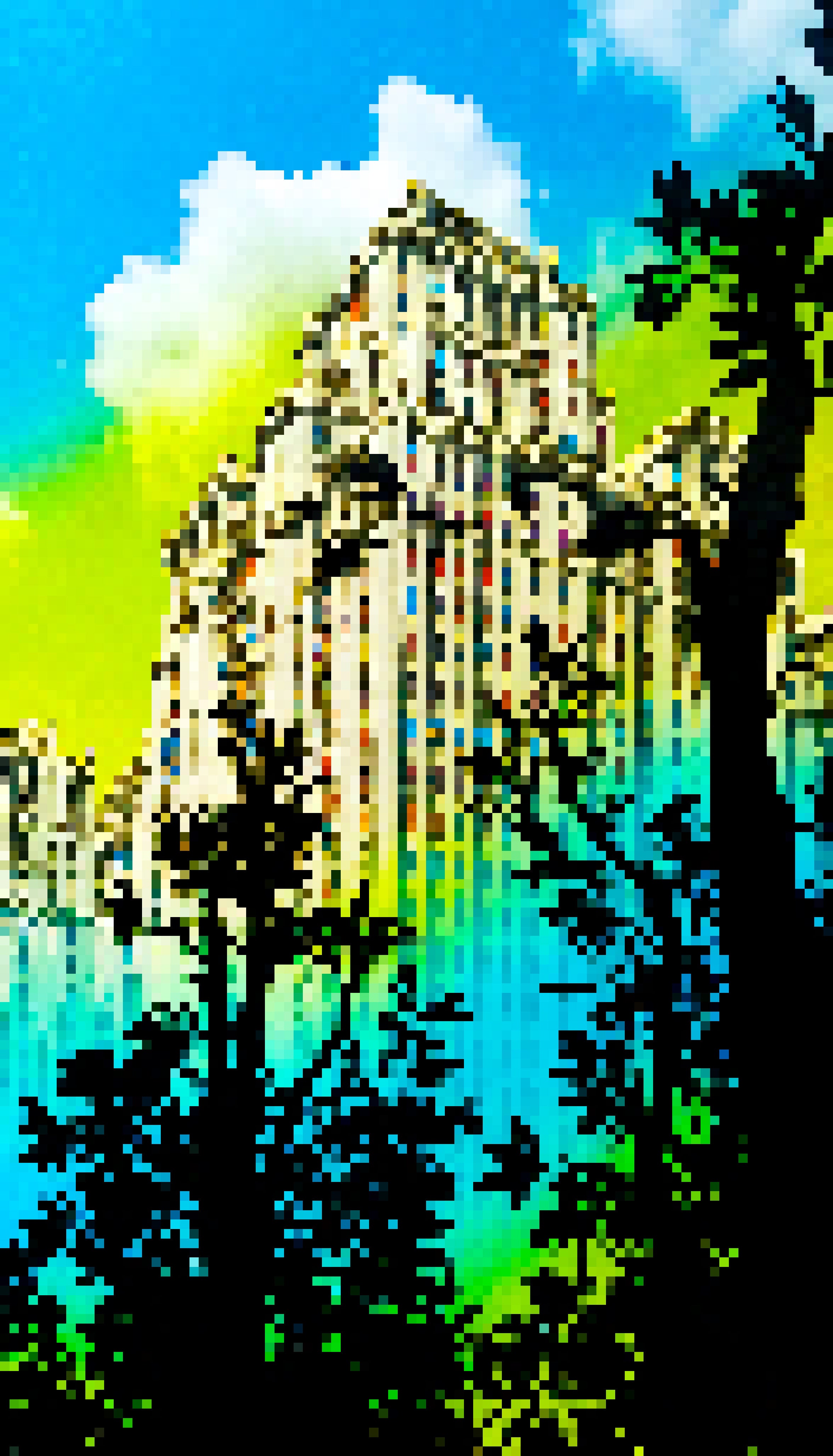 Tulip Tree Traffic Hub - #879 - MV8PIXELS