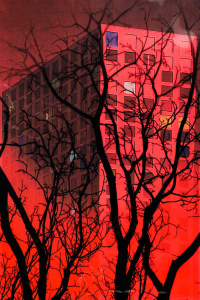 Marisol Vengas Original Artwork Series 7: five of one hundred and sixteen