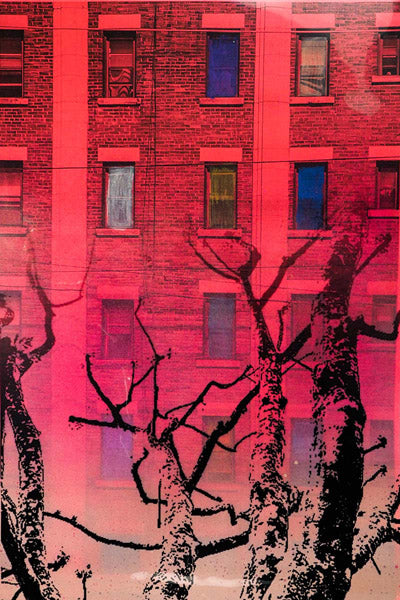 Marisol Vengas Original Artwork Series 7: eight of one hundred and sixteen