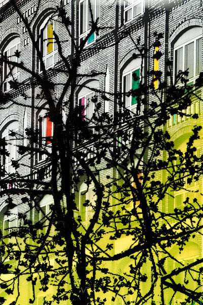 Marisol Vengas Original Artwork Series 7: eighteen of one hundred and sixteen