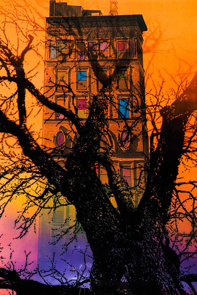 Marisol Vengas Original Artwork Series 7: thirty-nine of one hundred and sixteen