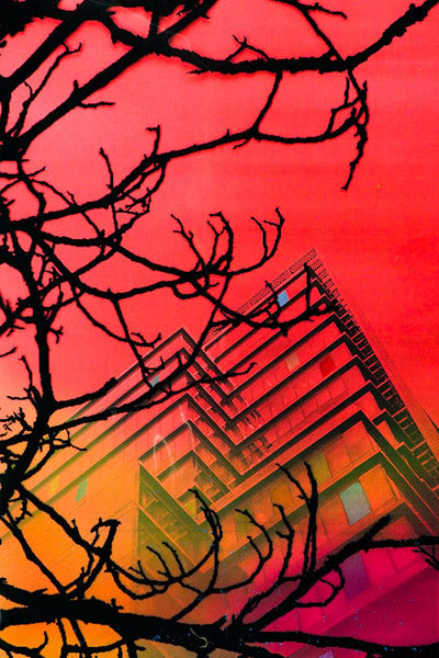 Marisol Vengas Original Artwork Series 7: sixty-seven of one hundred and sixteen
