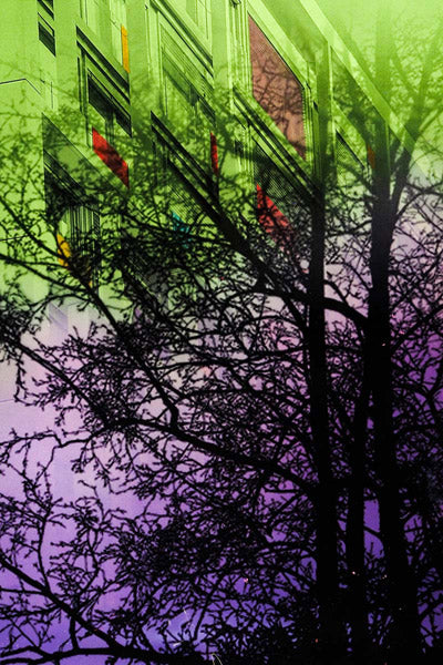Marisol Vengas Original Artwork Series 7: one hundred and seven of one hundred and sixteen