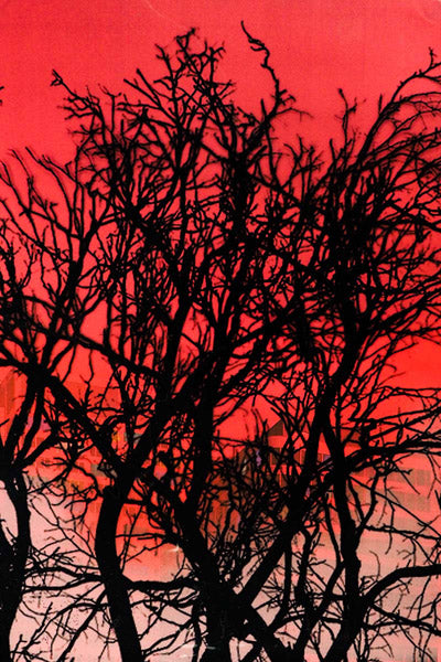 Marisol Vengas Original Artwork Series 7: one hundred and ten of one hundred and sixteen