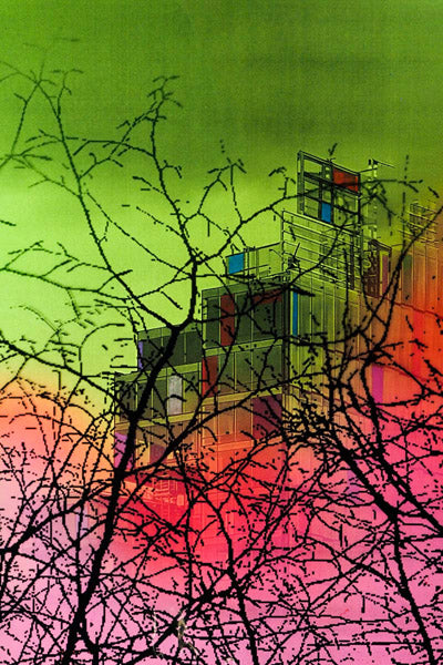 Marisol Vengas Original Artwork Series 7: one hundred and thirteen of one hundred and sixteen