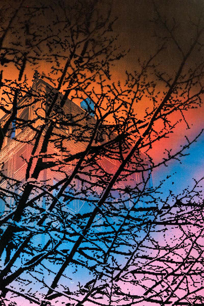 Marisol Vengas Original Artwork Series 7: one hundred and fifteen of one hundred and sixteen